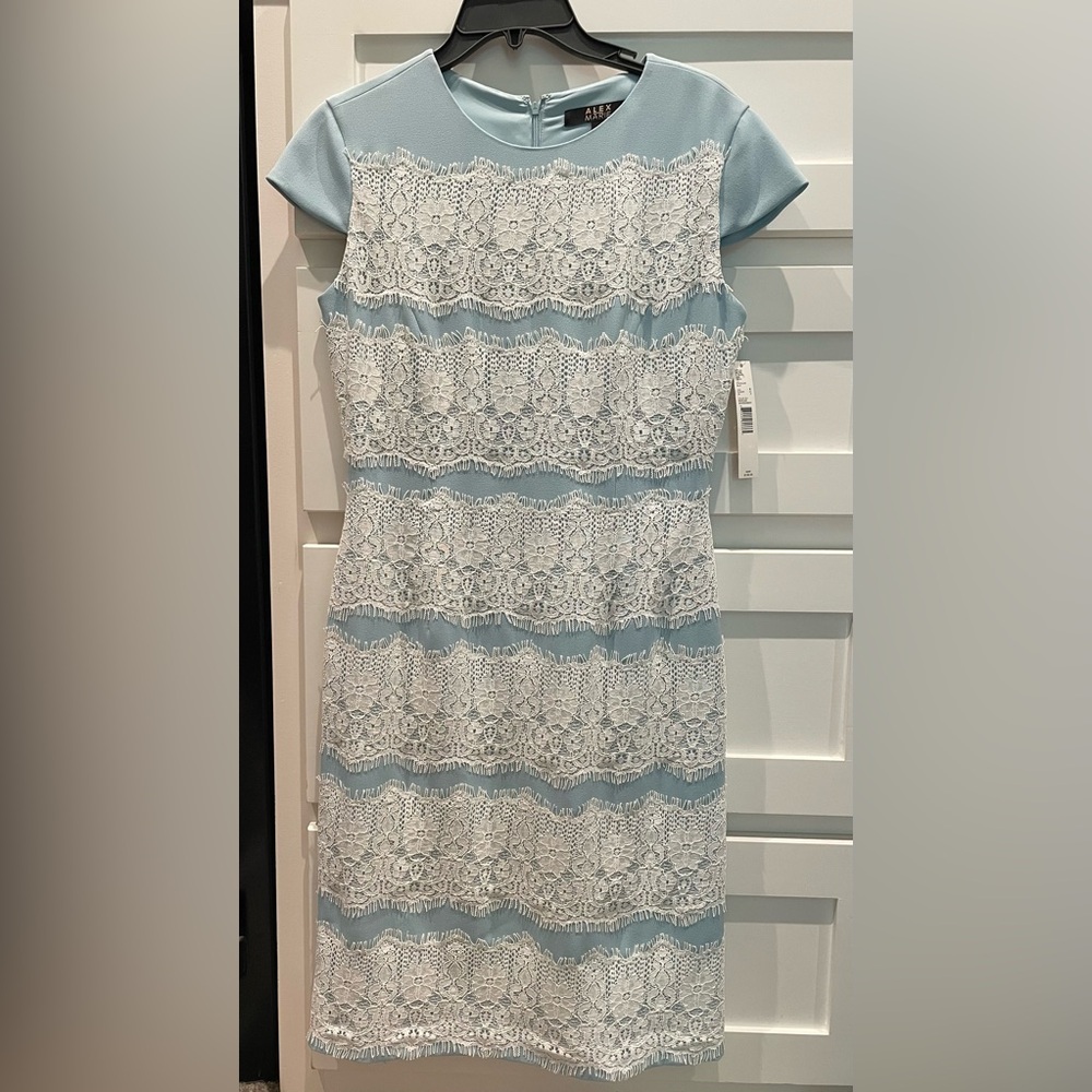 Blue and White Lace Dress